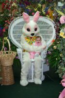 Foster Meets The Easter Bunny - Happy Easter Everyone